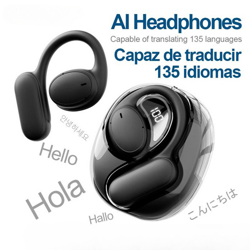 AI Translation Earbuds 2-in-1: Talk & Listen